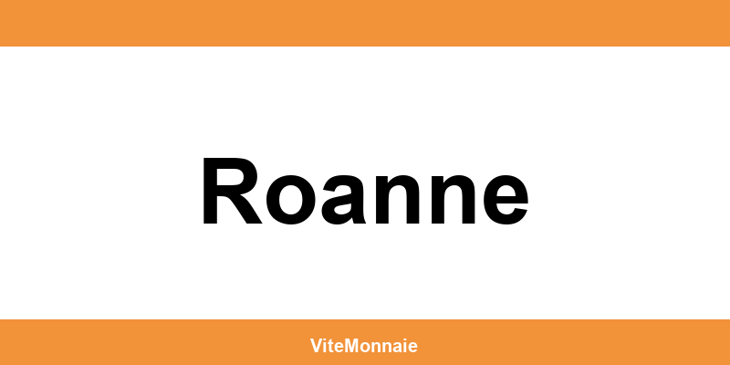 Ria Money Transfer agence à Roanne