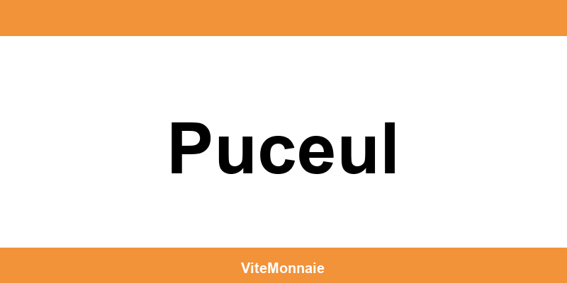 Ria Money Transfer agence à Puceul