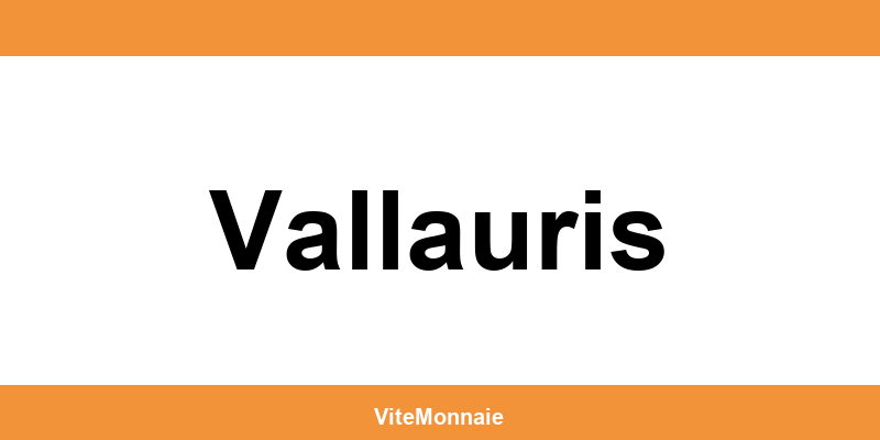Ria Money Transfer agence à Vallauris